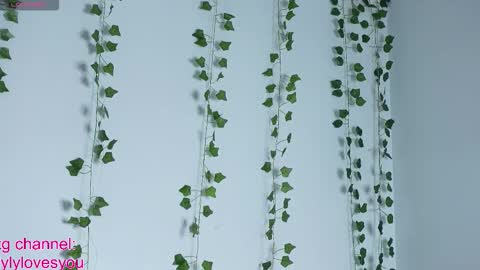 Lyly   online show from September 29, 5:28 am