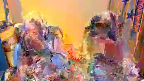 madelaine_taylor online show from December 5, 12:54 am