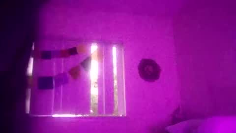 magdalena_805 online show from December 17, 1:01 am