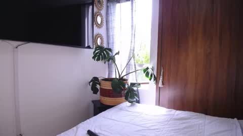 maggie online show from November 19, 4:06 pm