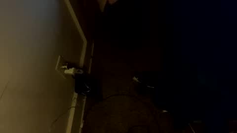 Maggie online show from January 14, 12:24 pm