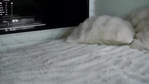 Lucy online show from December 23, 3:02 am