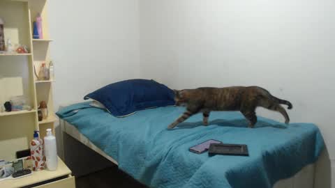 MAKENNAA online show from March 12, 9:12 am