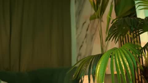mallory_dietlinde online show from August 1, 2:35 am