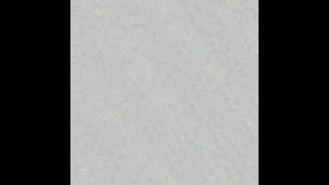 mantismillie online show from October 12, 1:48 pm