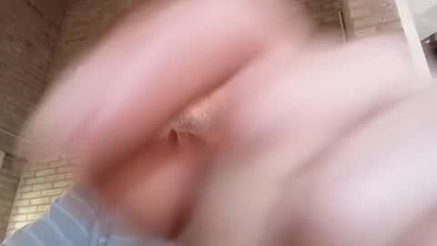 marcekir online show from October 4, 7:33 pm