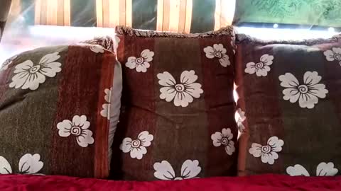 marocreda33 online show from February 16, 11:05 am