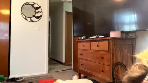 maroon_moon online show from February 14, 4:09 pm