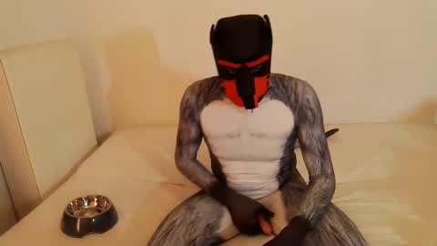 martin_ni online show from February 14, 11:53 am