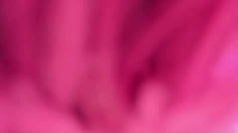 Martina online show from April 12, 7:45 am