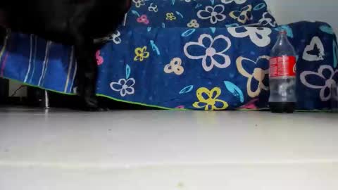 cash master jose online show from October 25, 4:57 am