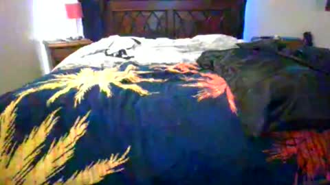 Max online show from February 5, 9:13 am