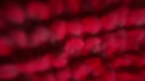 mblaqq online show from April 23, 11:17 pm