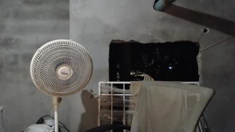 Mcgregor online show from February 11, 4:16 am