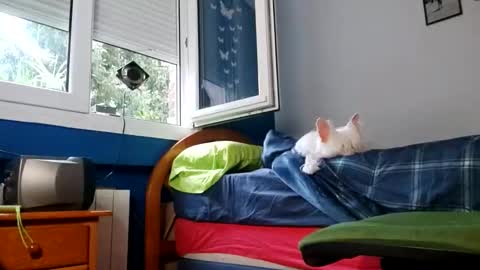 me gustastu online show from November 7, 4:53 pm