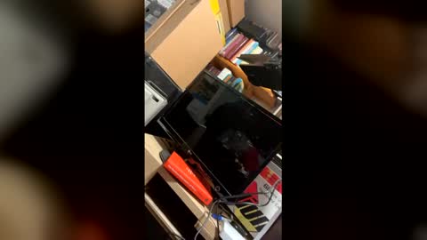 meaty7incher online show from January 5, 6:11 pm