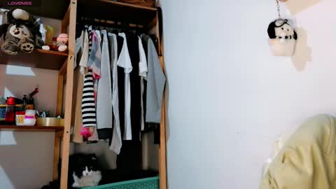  Carol - Dany  online show from February 20, 6:21 pm