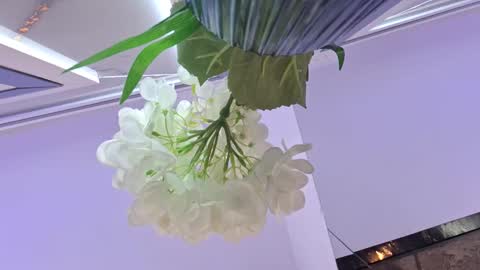 melodycharlotte online show from November 26, 11:29 am