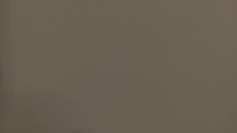 Melody online show from November 23, 8:45 am