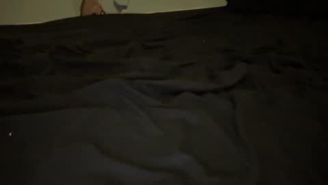 melt13 online show from November 13, 4:15 am