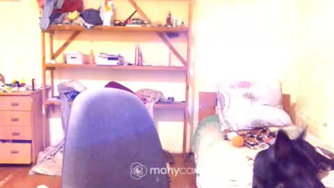 Yummygirl online show from December 2, 5:08 am