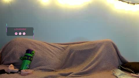 meowmelf online show from July 17, 9:17 pm