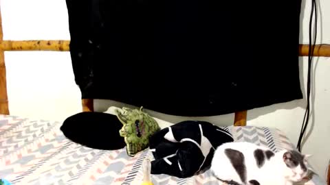 Mia  Sam online show from January 8, 4:07 am