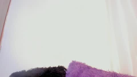 miakirshner_ online show from January 8, 3:51 pm