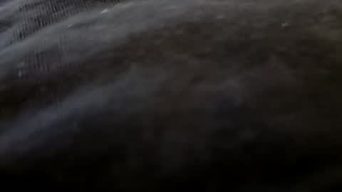 Mickey online show from October 10, 3:56 am