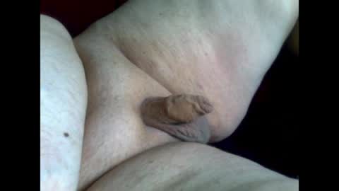 micropimmel online show from April 5, 10:34 am