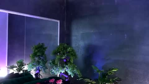 Snapshot of midnight_seduction chatting on March 7, 11:07 am Alice online show from March 7, 11:07 am