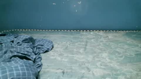 Caddy online show from October 12, 8:54 pm