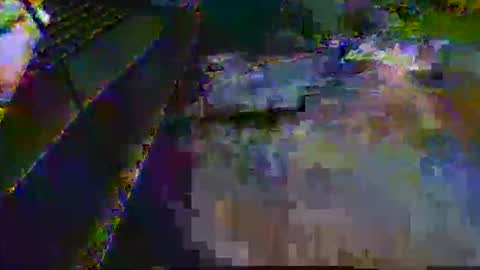 midtownhustler online show from March 25, 3:08 pm