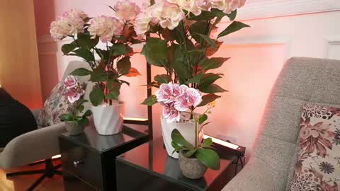 milacrave online show from January 10, 11:48 am