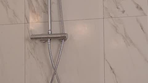 milaleoneli online show from November 6, 8:56 pm