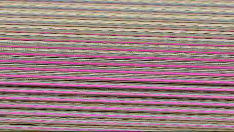 miroslavva_ online show from July 21, 12:29 pm