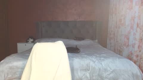 Misha online show from January 11, 2:56 pm