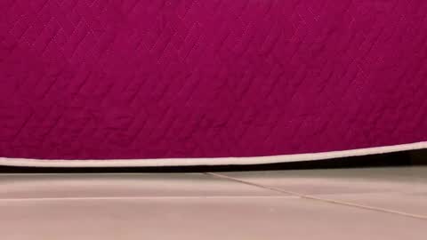 Alexa online show from December 14, 8:37 pm