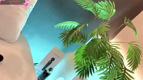   online show from February 3, 2:53 am