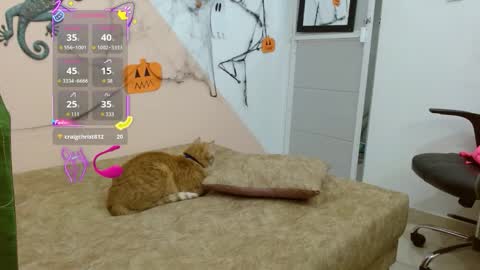 mafe maria fernanda online show from October 25, 10:36 am