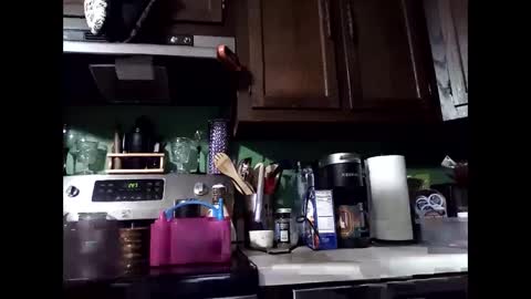 MissEeva online show from December 14, 6:46 am