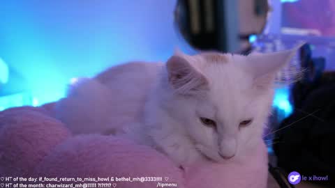 Lexi Bitch Tits Baked Goldfish Howl Miss Zero Remeber The First online show from January 11, 9:15 am