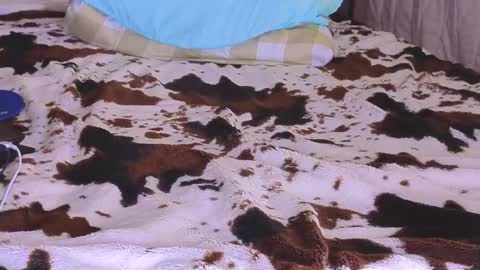 Anastacia online show from October 28, 5:52 am