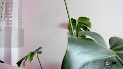 Pau OFmissweetpeach online show from April 1, 3:29 am