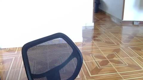     online show from March 30, 3:12 pm