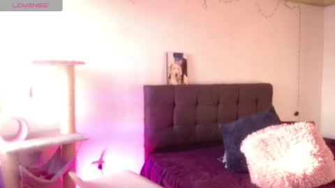       online show from December 19, 11:29 am