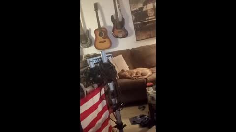 BobbyMitchGa online show from April 29, 6:07 am