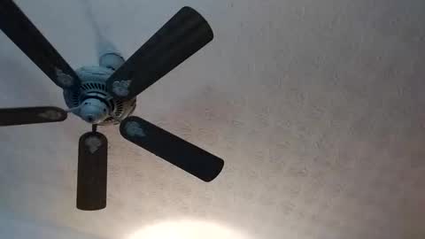 BobbyMitchGa online show from October 24, 1:34 pm