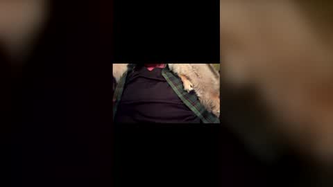 MNbyIAbyWI online show from January 8, 1:06 pm