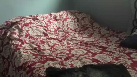 MNTuiLa online show from October 31, 3:23 pm